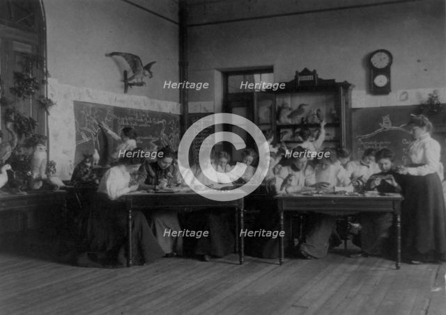Students studying birds in biology class in a Washington, D.C. school, (1899?). Creator: Frances Benjamin Johnston.