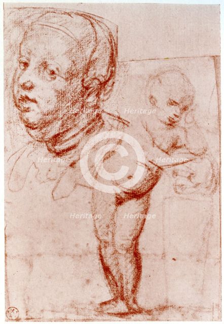 Studies, 1913.Artist: Albrecht Dürer