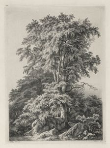Studies Drawn and Engraved after Nature: The Beach, Fontainbleau..., 1840. Creator: Eugene Bléry (French, 1805-1886)