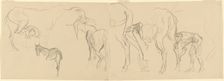 Studies for "Shoeing Calvary Horses at the Front" [recto], 1918. Creator: John Singer Sargent