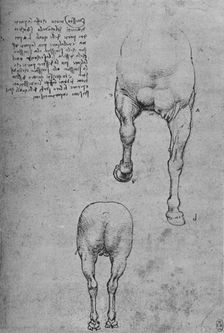 Studies of the Fore-Quarters and of the Hind-Quarters of a Horse c1480 (1945). Artist: Leonardo da Vinci
