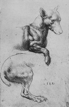Studies of the Forepart and Hind-Quarters of a Dog c1480 (1945). Artist: Leonardo da Vinci
