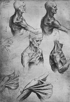 Studies of the Head and Shoulders of a Man c1480 (1945). Artist: Leonardo da Vinci