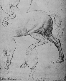 Studies of the Hind-Quarters and of the Hind-Legs of a Horse c1480 (1945). Artist: Leonardo da Vinci