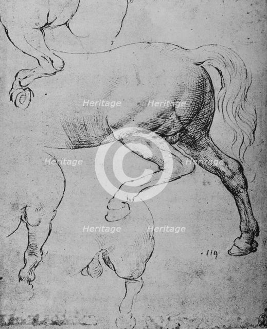 'Studies of the Hind-Quarters and of the Hind-Legs of a Horse', c1480 (1945). Artist: Leonardo da Vinci.