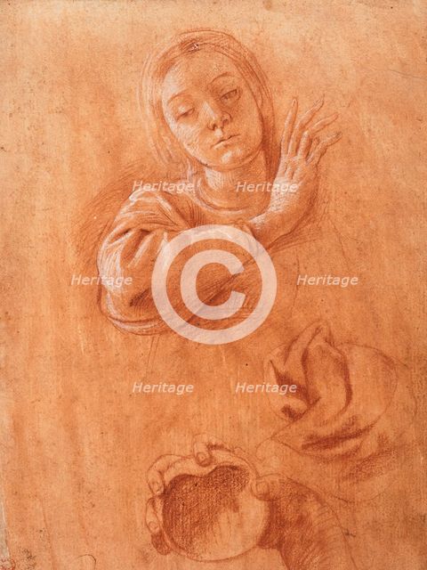 Studies of the Virgin, Drapery, and the Hand of Saint John the Baptist Holding a Shell, c1628. Creator: Tanzio da Varallo.