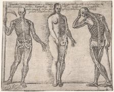 Studies of three skeleton, from the Principios para estudiar el Nobilísimo y Real art..., ca. 1693. Creator: José García Hidalgo