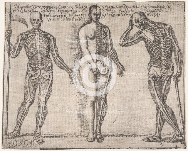 Studies of three skeleton, from the 'Principios para estudiar el Nobilísimo y Real art..., ca. 1693. Creator: José García Hidalgo.
