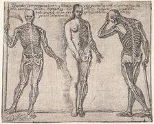 Studies of three skeleton, from the Principios para estudiar el Nobilísimo y Real art..., ca. 1693. Creator: José García Hidalgo