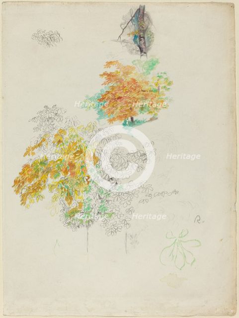 Studies of Trees, 1886. Creator: Pierre-Auguste Renoir.