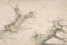 Studies of Two Pollard Willows; Verso: Wide Landscape Prospect, late 16th-mid-17th century. Creator: Abraham Bloemaert
