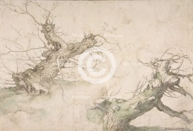 Studies of Two Pollard Willows; Verso: Wide Landscape Prospect, late 16th-mid-17th century. Creator: Abraham Bloemaert.