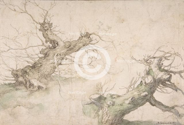 Studies of Two Pollard Willows; Verso: Wide Landscape Prospect, late 16th-mid-17th century. Creator: Abraham Bloemaert.