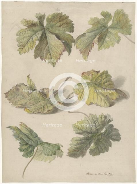 Studies of vine leaves, 1796. Creator: Willem van Leen.