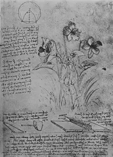 Studies of Violas and of Methods of Soldering Lead Roofs c1480 (1945). Artist: Leonardo da Vinci