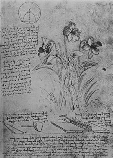 Studies of Violas and of Methods of Soldering Lead Roofs c1480 (1945). Artist: Leonardo da Vinci