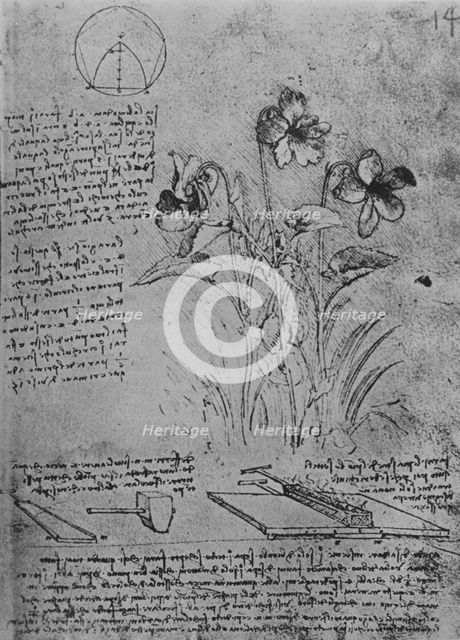'Studies of Violas and of Methods of Soldering Lead Roofs', c1480 (1945). Artist: Leonardo da Vinci.