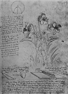 Studies of Violas and of Methods of Soldering Lead Roofs c1480 (1945). Artist: Leonardo da Vinci