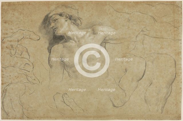 Studies of a Male Torso with Additional Studies of Hands, Shoulders, and a Leg, between 1650 & 1719. Creator: Carlo Cignani.