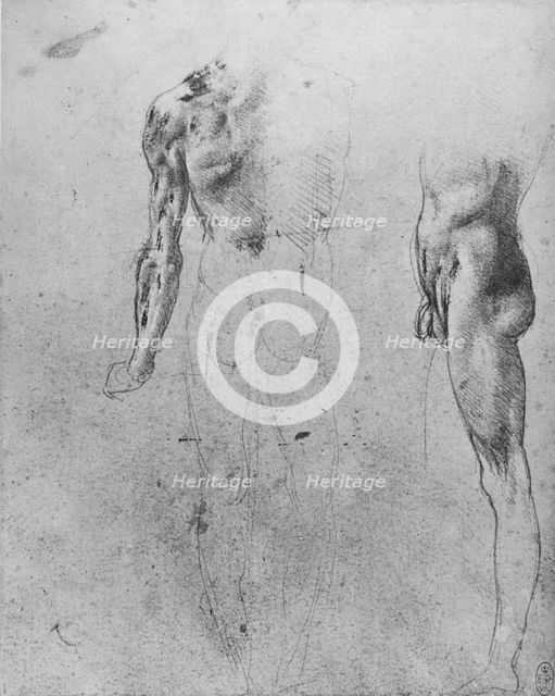 'Studies of a Nude Man Seen from the Back and from the Side', c1480 (1945). Artist: Leonardo da Vinci.