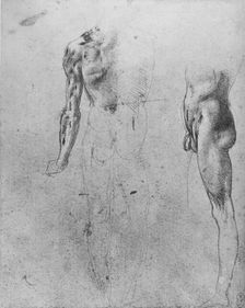 Studies of a Nude Man Seen from the Back and from the Side c1480 (1945). Artist: Leonardo da Vinci