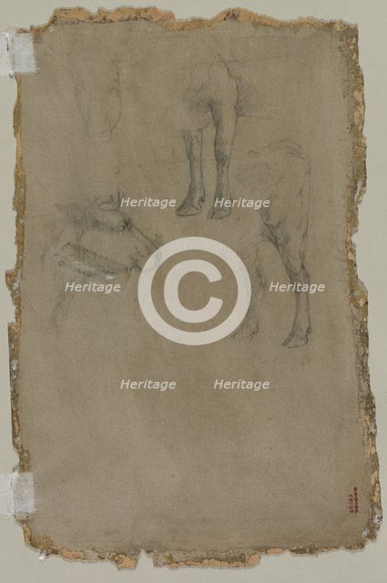 Studies of a Bull, 1864. Creator: Johan Barthold Jongkind (Dutch, 1819-1891), possibly by.