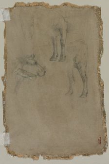 Studies of a Bull, 1864. Creator: Johan Barthold Jongkind (Dutch, 1819-1891), possibly by