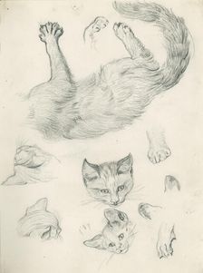 Studies of a cat for Playmates c1897. Creator: Henry Hugh Armstead