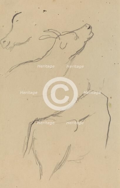 Studies of a Cow [verso], 1884-1888. Creator: Paul Gauguin.