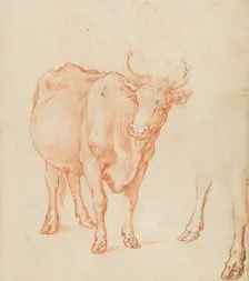 Studies of a cow, c.1603. Creator: Abraham Bloemaert