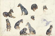 Studies of a dog, 1880-1946. Creator: Anna Maria Kruijff