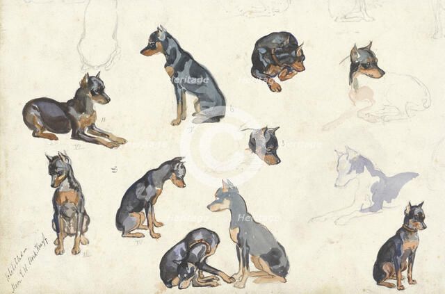 Studies of a dog, 1880-1946. Creator: Anna Maria Kruijff.