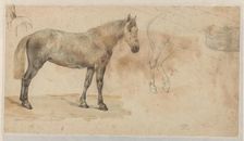 Studies of a horse, 1845-1926. Creator: Willem Carel Nakken