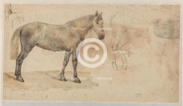Studies of a horse, 1845-1926. Creator: Willem Carel Nakken.