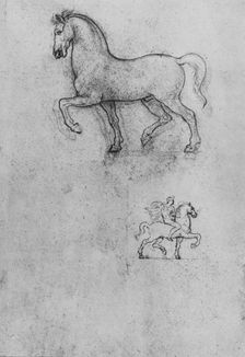 Studies of a Horse and one of a Horse and Rider c1480 (1945). Artist: Leonardo da Vinci