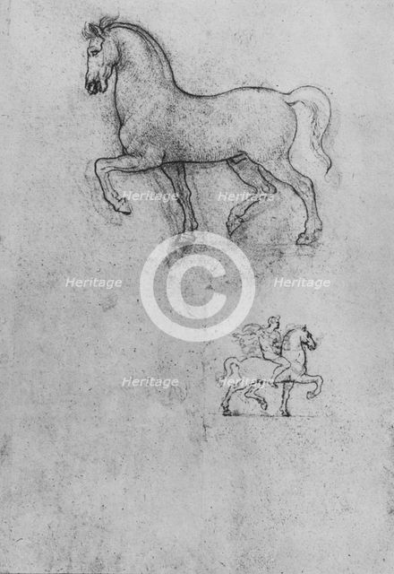 'Studies of a Horse and one of a Horse and Rider', c1480 (1945). Artist: Leonardo da Vinci.