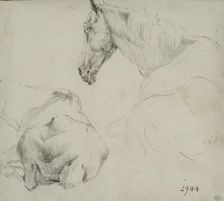 Studies of a horse lying down. Creator: Adriaen van de Velde