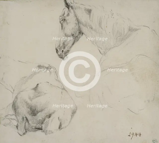 Studies of a horse lying down. Creator: Adriaen van de Velde.