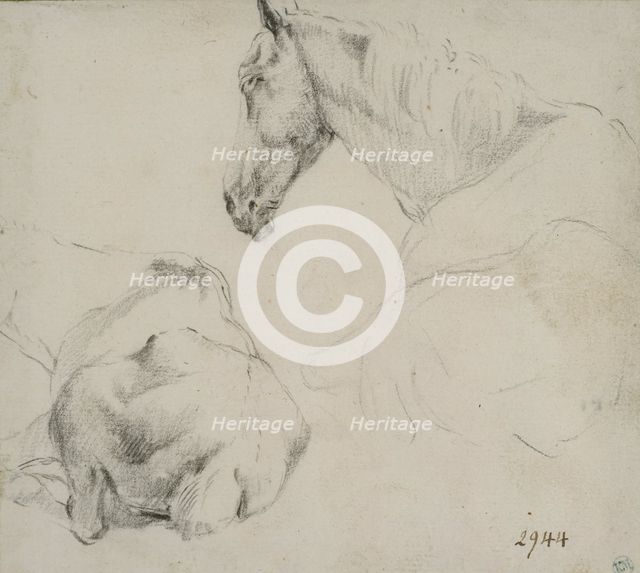 Studies of a horse lying down. Creator: Adriaen van de Velde.