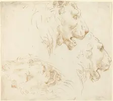 Studies of a Lion's Head. Creator: Stefano della Bella