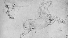 Studies of a Rearing Horse and a Horse's Hind-Quarters c1480 (1945). Artist: Leonardo da Vinci
