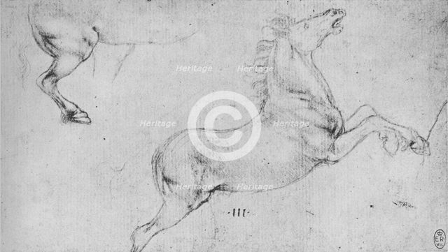 'Studies of a Rearing Horse and a Horse's Hind-Quarters', c1480 (1945). Artist: Leonardo da Vinci.