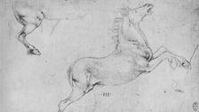 Studies of a Rearing Horse and a Horse's Hind-Quarters c1480 (1945). Artist: Leonardo da Vinci