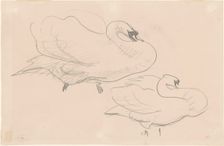 Studies of a Swan, 1880-1900. Creator: John Singer Sargent