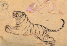 Studies of a Tiger and Two Humans, c1875. Creator: Unknown