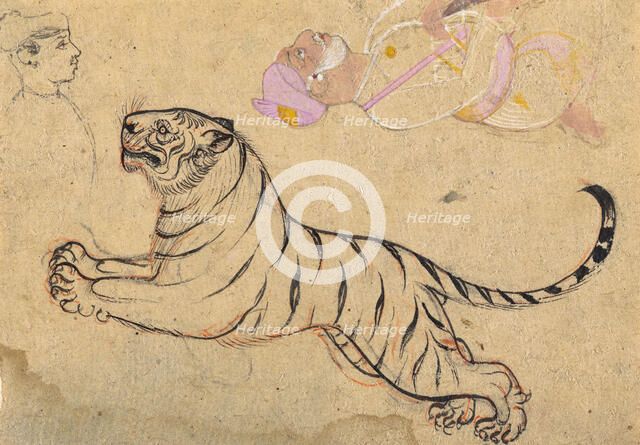 Studies of a Tiger and Two Humans, c1875. Creator: Unknown.