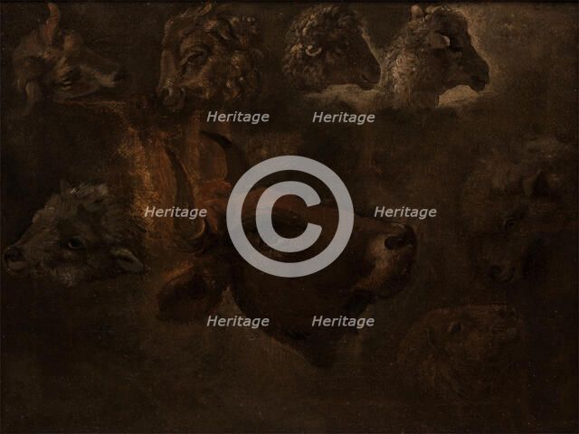 Studies of Animal Heads, between 1835 and 1840. Creator: Thomas Cole.