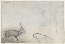Studies of Animals (verso). Creator: Antoine-Louis Barye (French, 1796-1875)