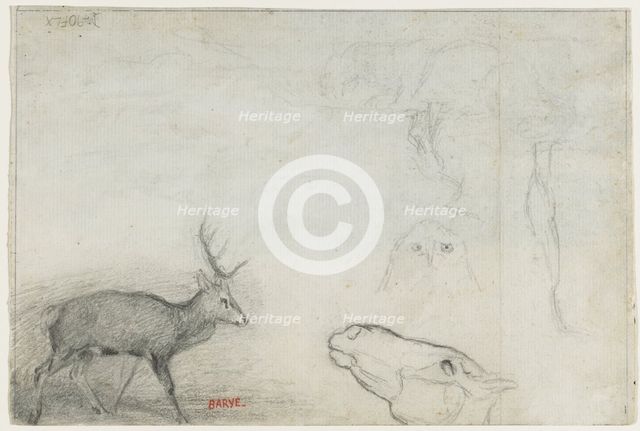 Studies of Animals (verso). Creator: Antoine-Louis Barye (French, 1796-1875).
