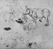 Studies of Asses and of an Ox c1480 (1945). Artist: Leonardo da Vinci